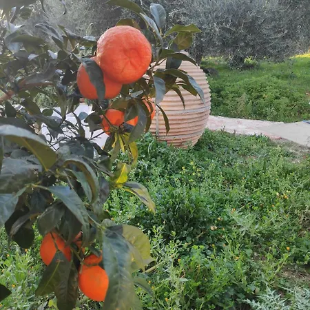 Villa Casa Rossa Pesadha
